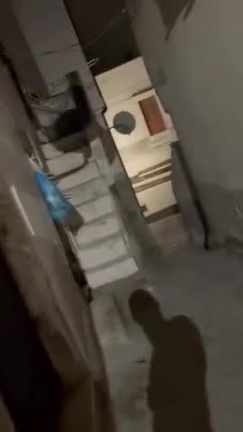 Ragazza italiana arrapata mi succhia il cazzo nel vicolo