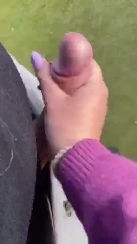 Mi fa una sega nel parco giochi